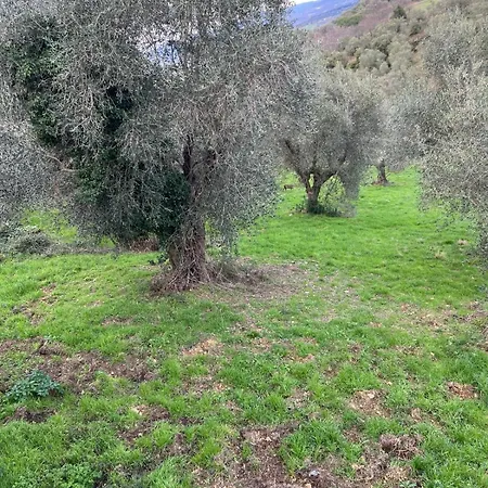 Casa Elena * Manciano